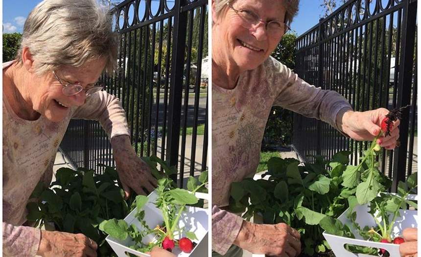 Gardening activities with resident